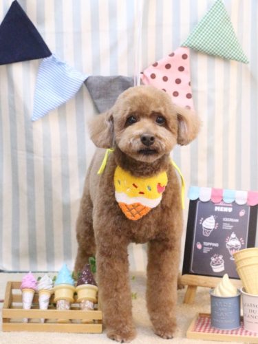 20250520ぷぷくん